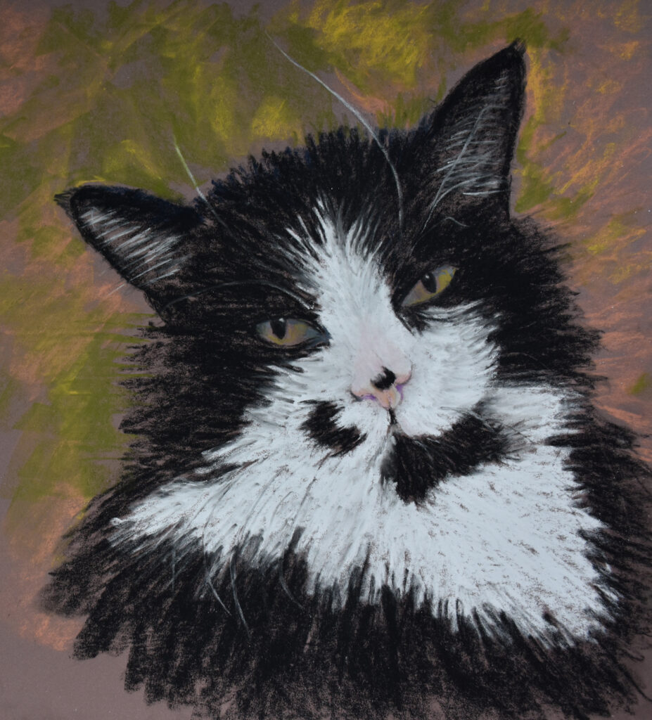 Arty PiCATso - soft pastel